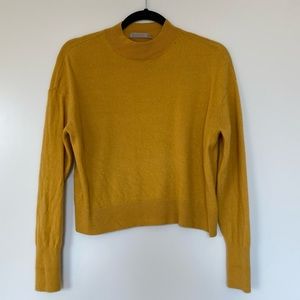 Everlane Cashmere Mockneck Sweater